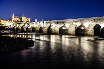 Fototapeta na wymiar Roman Bridge w Kordobie, Andaluzja, Hiszpania.