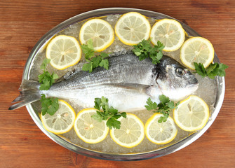 Fresh fish of dorado