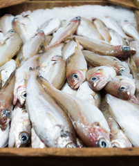 fish at marketplace