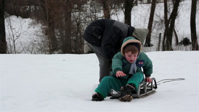 portrait of country boy on a sled,brothers