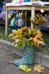 Obraz premium Autumn boot with maple, steet decoration