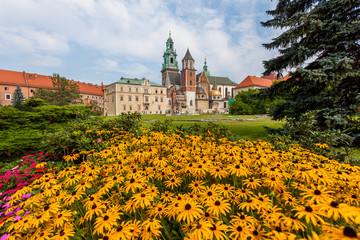 Fototapeta Wawel - Cracow obraz