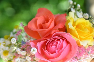 rose bouquet