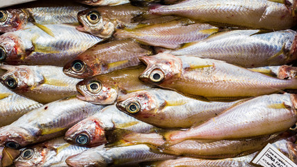 Obraz premium pout fish at marketplace
