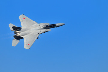 Fototapeta na wymiar F15 Eagle