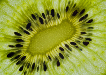 Slice of a kiwi fruit