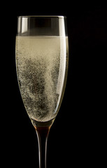 Champagne wine in glass on black background