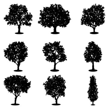 Tree silhouettes vector set