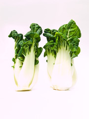 Bunch of Fresh baby bok choy, Brassica rapa chinensis,  isolated