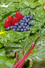 Fruit on chard.