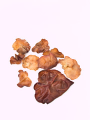 Auricularia auricula isolated on whith background
