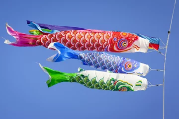 Poster Carp Streamers © Anthony Brown