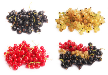 porzeczki © studioJowita