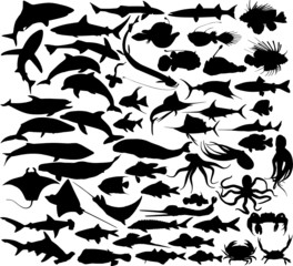 Obraz premium Set of silhouettes of fishes