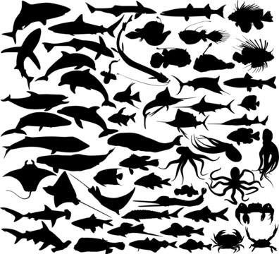 Set of silhouettes of fishes