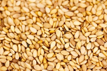 Fototapeta premium closeup of spices: sesame