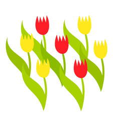 Tulips growing