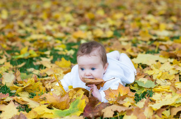 Sweet baby girl playing with yellow maple leaves
