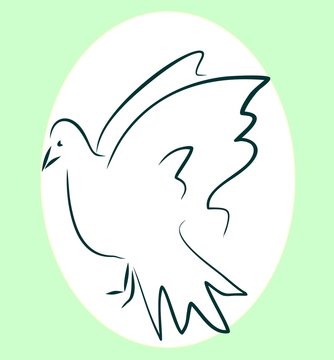 white pigeon - sketch