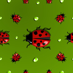 Obraz na płótnie Canvas Spring water drops and ladybug pattern