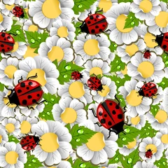 Cercles muraux Coccinelles Modèle de scarabée et de fleur de ressort