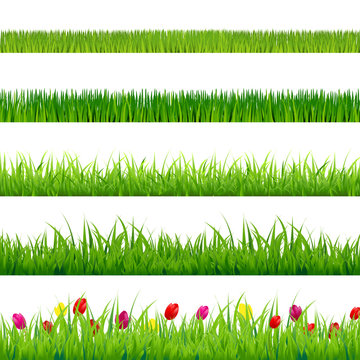 Big Green Grass And Flowers Set