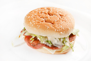 burger on the white