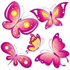 Foto auf Acrylglas Schmetterling, Schmetterlingsvektor © aboard