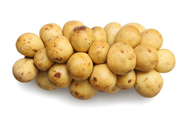 Wollongong isolated on white background