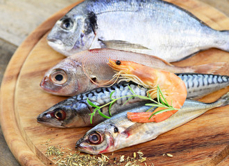 Frischfisch
