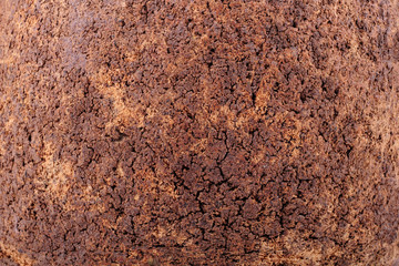 Bark texture