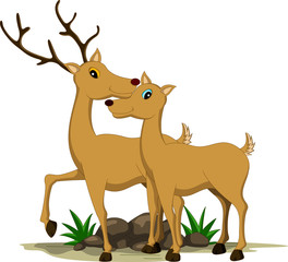 cute couple deer cartoon
