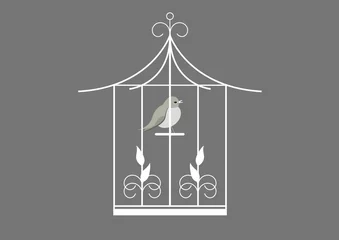 Crédence de cuisine en verre imprimé Oiseaux en cages Cage oiseau - fond gris