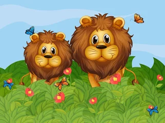 Poster Een grote en een jonge leeuw in de tuin © GraphicsRF