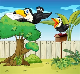 Vogels in de achtertuin © GraphicsRF