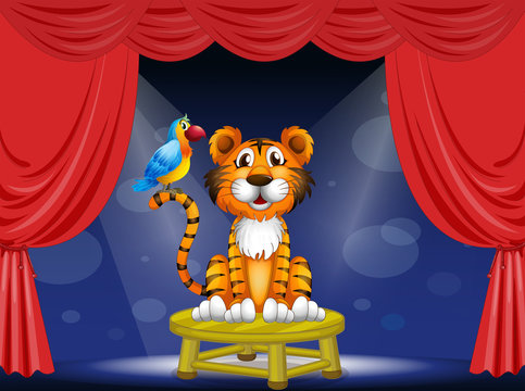A tiger and a parrot in the circus