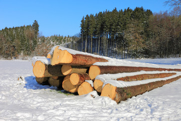 Small pile of logs in winter