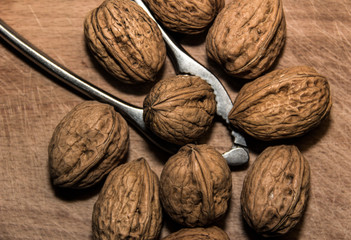 Walnuts and Nutcracker on a Wooden Board