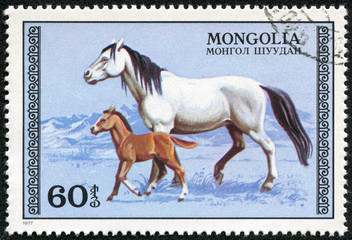 Fototapeta na wymiar stamp printed in Mongolia shows the mare and foal