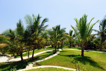 Fototapeta premium image of a luxurious resort in kenya africa