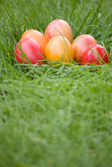 easter eggs