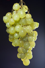 Weintrauben