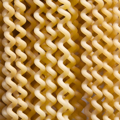 Italian pasta - fusilli