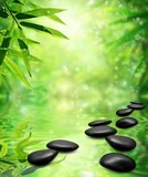 Zen Bamboo ,pebbles,sun and water.