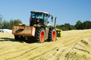 Obraz premium Maisernte, Silage walzen