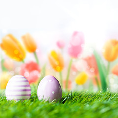 Ostereier vor Tulpenhintergrund