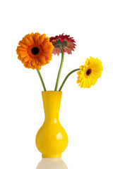 Flower and vase.