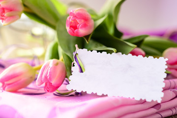 Tulpen und Geschenkanhänger 2