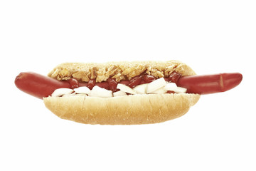 Hotdog on white background