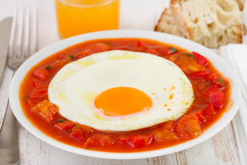 fried egg with tomato and pepper on the plate